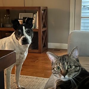 Meet your Posher, Erika